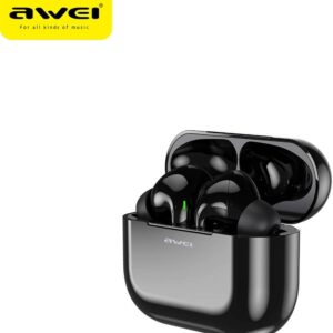 Awei Bluetooth earphones (T29) overview